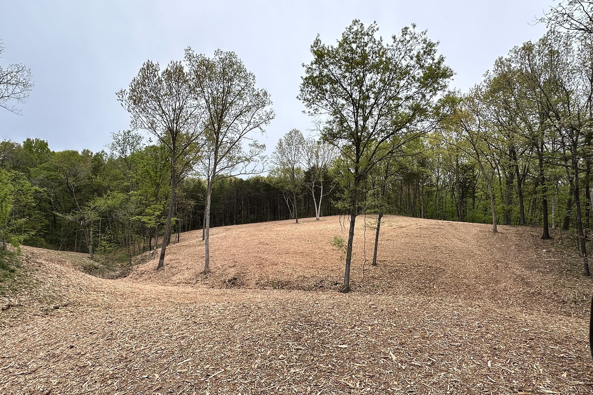 After photo of cleared land using a brush hog for land management