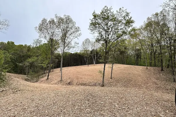 After photo of cleared land using a brush hog for land management