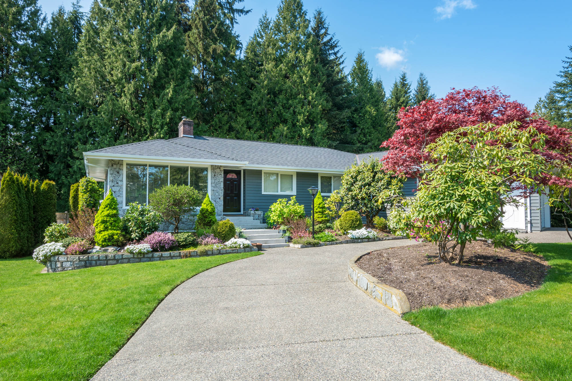 Home with full landscape and ornamental trees